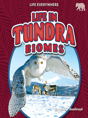 cover image of Life in Tundra Biomes